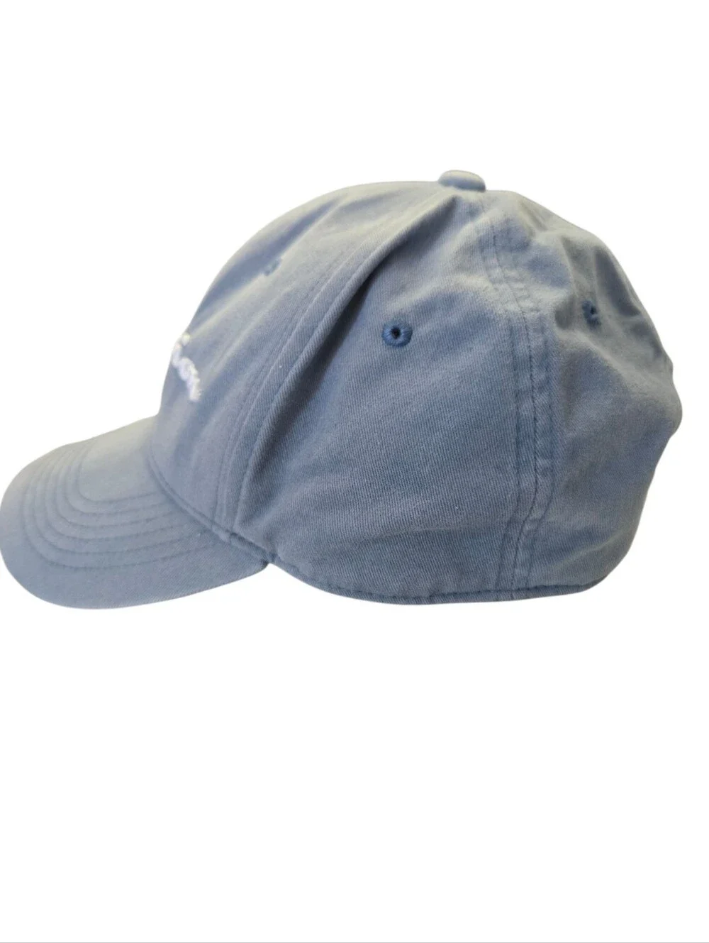 🧢 Champion Script Logo Adjustable Dad Hat | Blue Baseball Cap | Authentic Athle